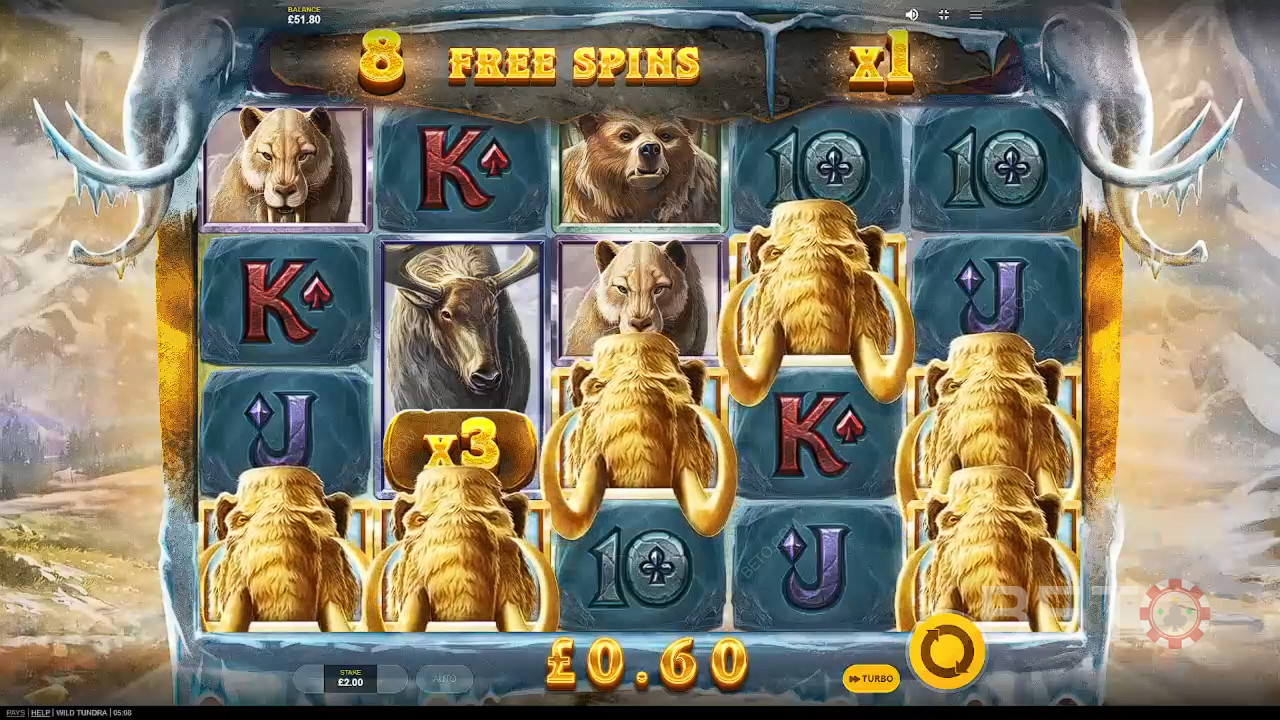 Wild Tundra Free Play