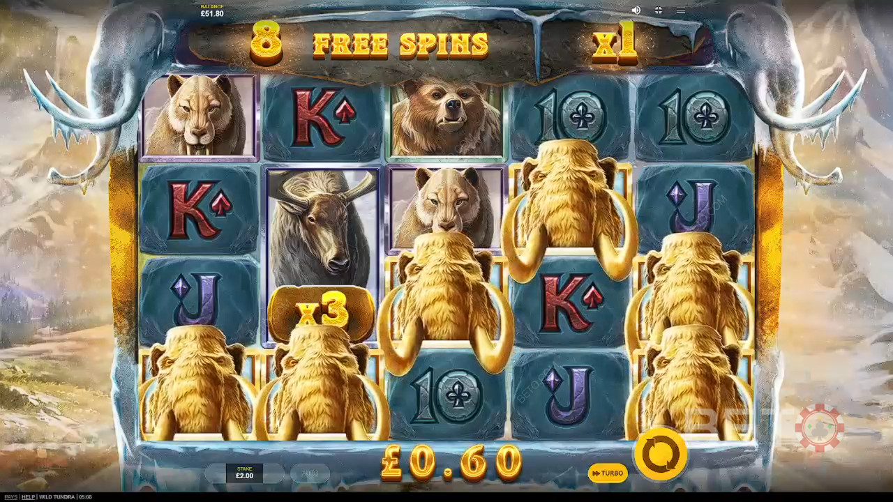 Wild Tundra Review by BETO Pokies