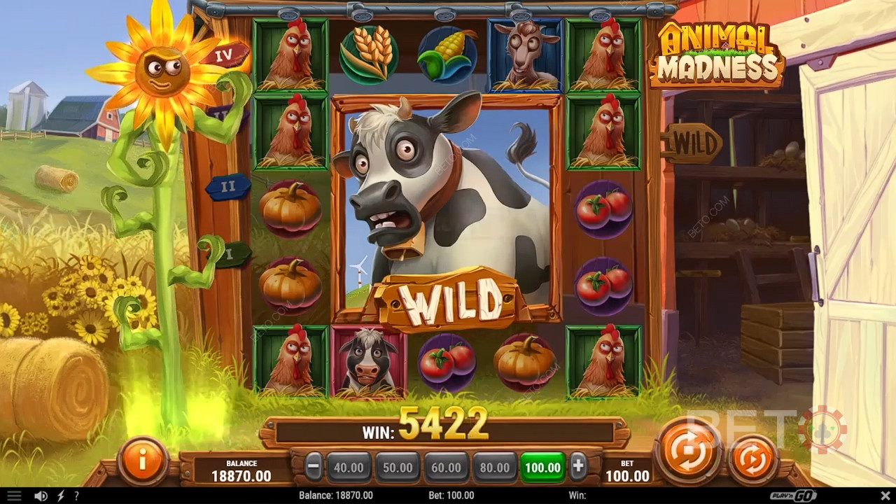 Animal Madness: BETO Pokies