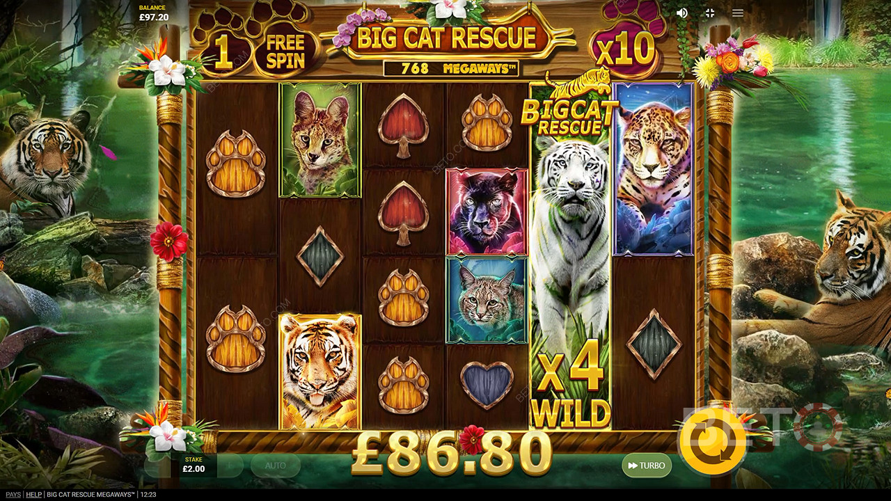 Big Cat Rescue Megaways Free Play