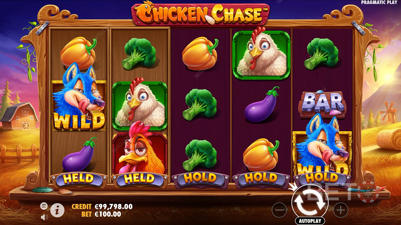 Chook Chase: How to Play This Pragmatic Play Pokie