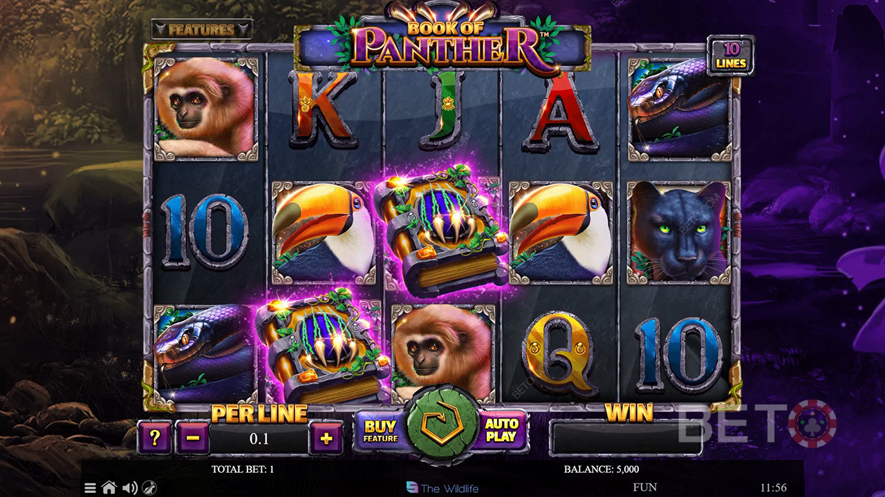 Book of Panther: BETO Pokies Review