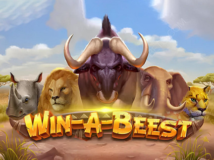 Win A Beest Demo