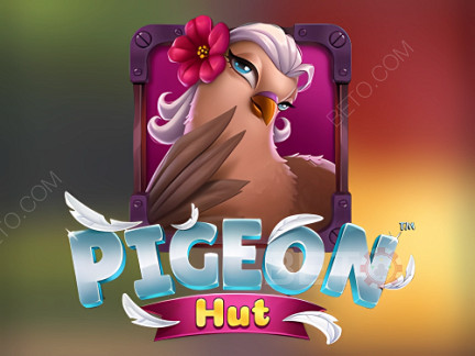 Pigeon Hut Demo