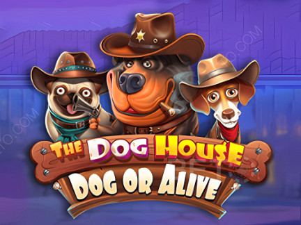 The Dog House - Dog or Alive Demo