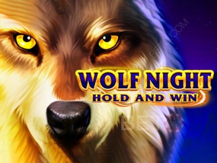 Wolf Night Demo