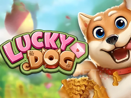 Lucky Dog Demo